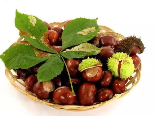 花音栗子黑料吃瓜,黑料吃瓜背后的真相