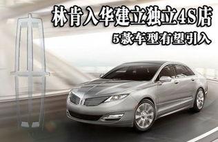 林肯4s店吃瓜黑料视频,揭秘售后服务背后的真相